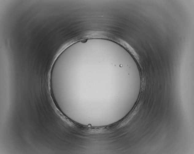 X0000111511386200907141055