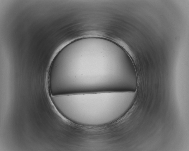 X0000111511387200907141055