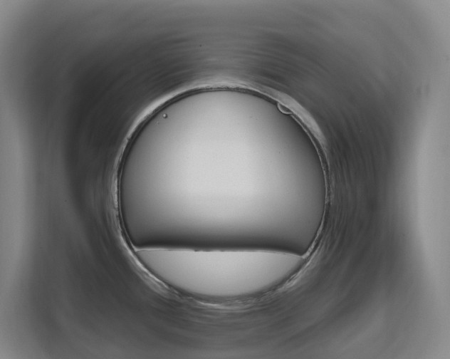 X0000111511388200907141055