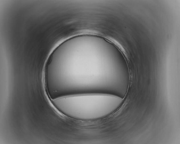 X0000111511391200907141055