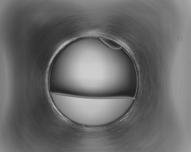 X0000111511392200907141055