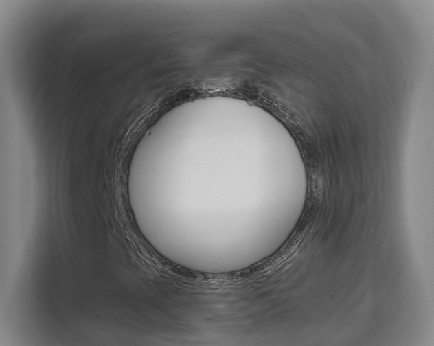 X0000111511393200907141054