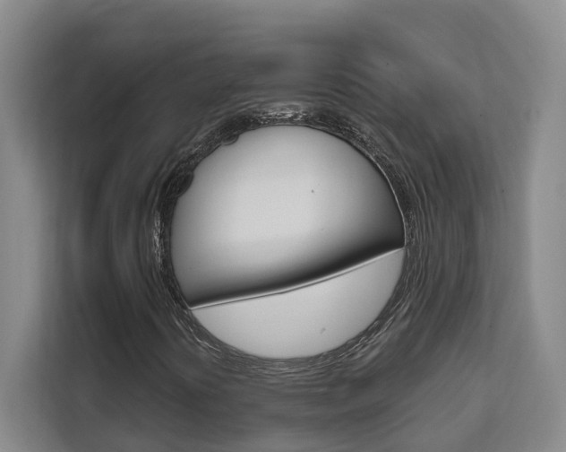 X0000111511394200907141054