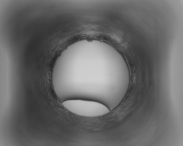 X0000111511397200907141054
