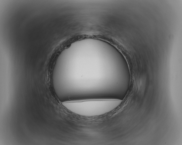 X0000111511398200907141054