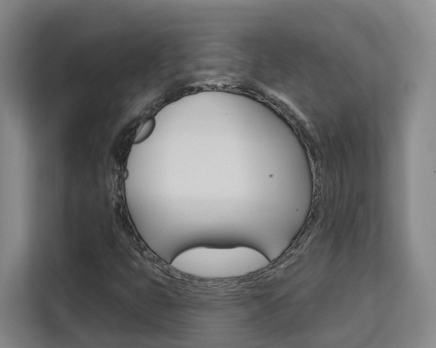 X0000111511399200907141054