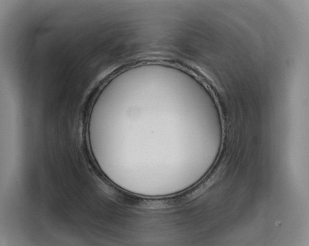 X0000111511402200907141054