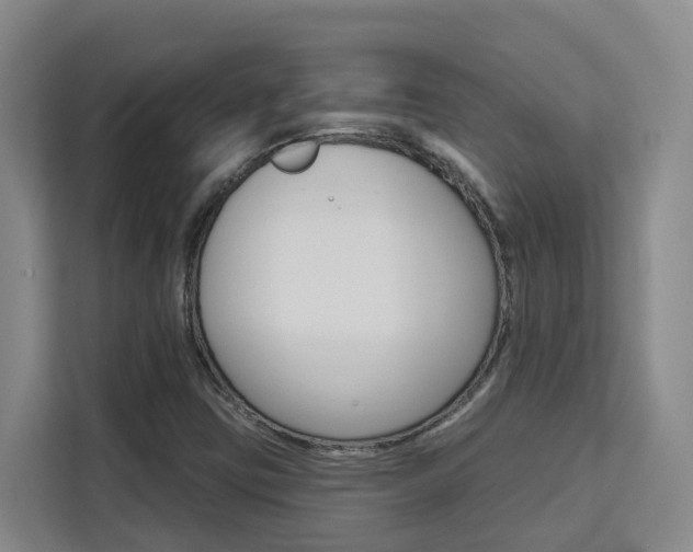 X0000111511403200907141054