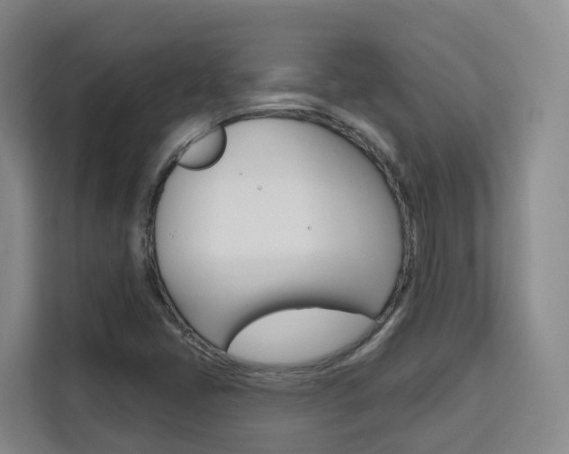 X0000111511405200907141054