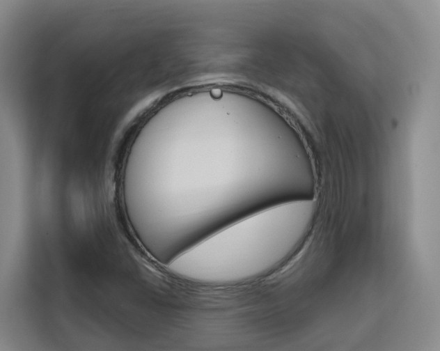 X0000111511406200907141054