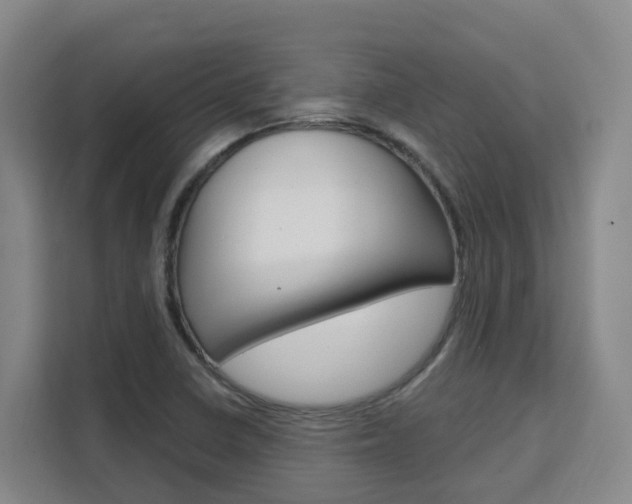 X0000111511410200907141054