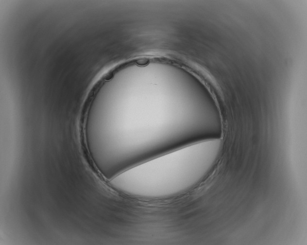 X0000111511412200907141054