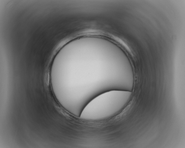 X0000111511413200907141054