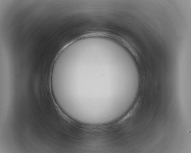 X0000111511417200907141054