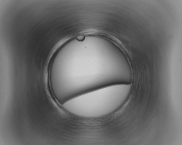 X0000111511418200907141054
