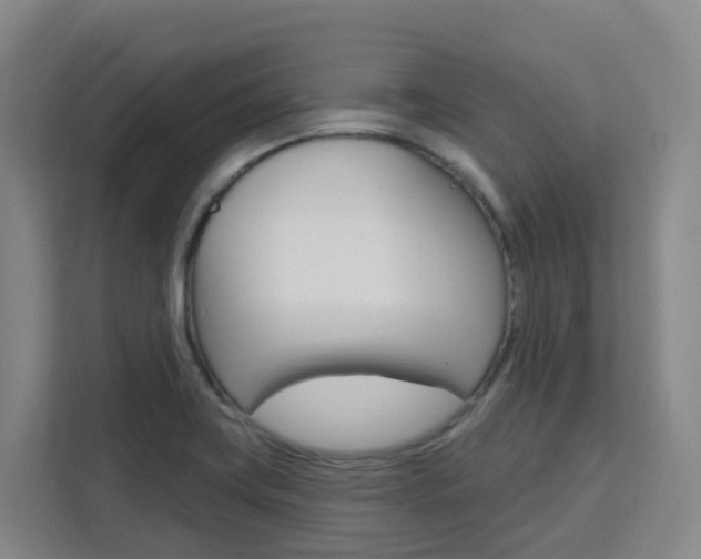 X0000111511419200907141055