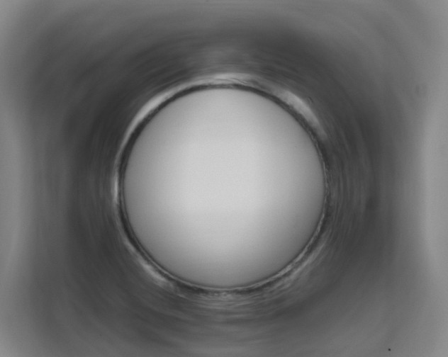 X0000111511420200907141055