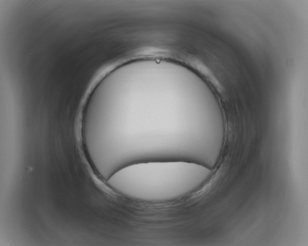 X0000111511421200907141055