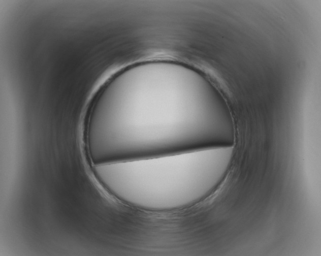 X0000111511422200907141055