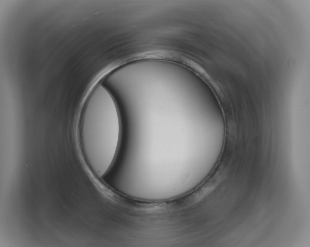 X0000111511426200907141055