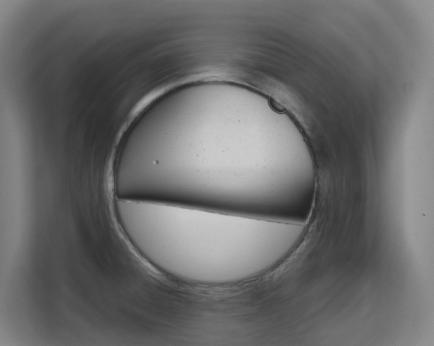 X0000111511428200907141055