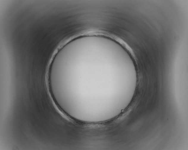 X0000111511429200907141055