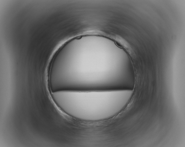 X0000111511430200907141055
