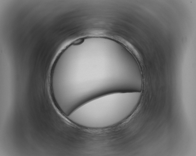 X0000111511432200907141055