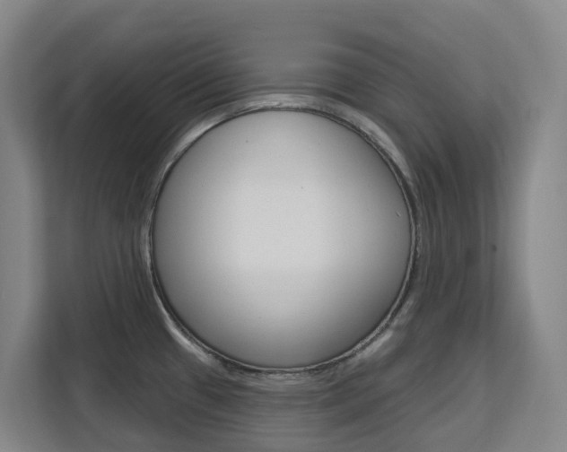 X0000111511433200907141055