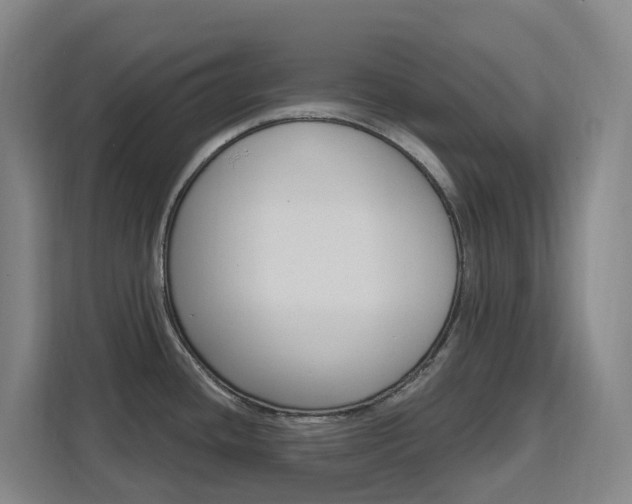 X0000111511436200907141055