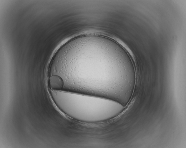 X0000111511437200907141055