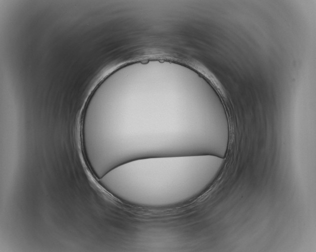 X0000111511439200907141055