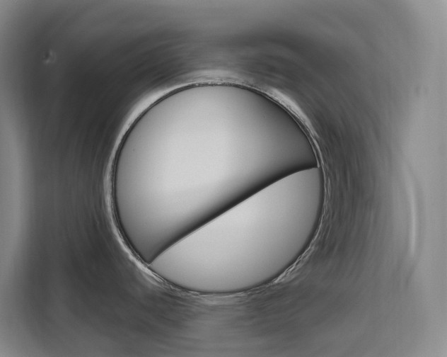 X0000111511440200907141055