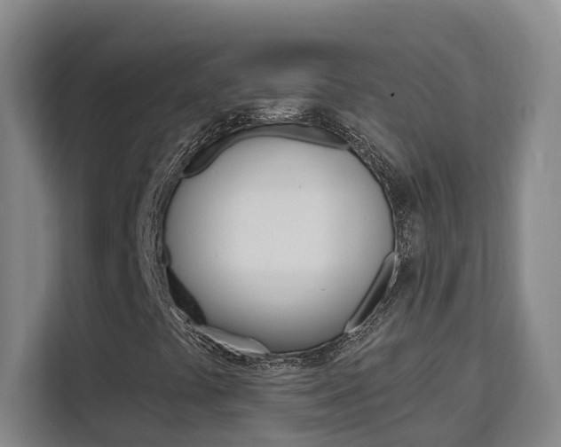 X0000111511441200907141054