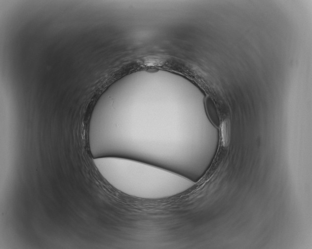 X0000111511443200907141054