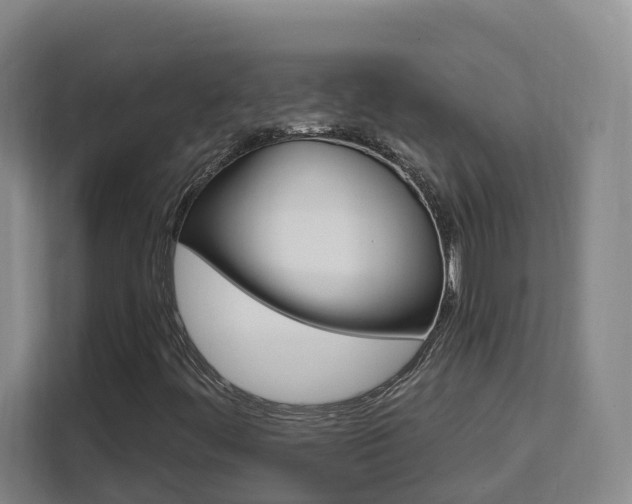 X0000111511444200907141054