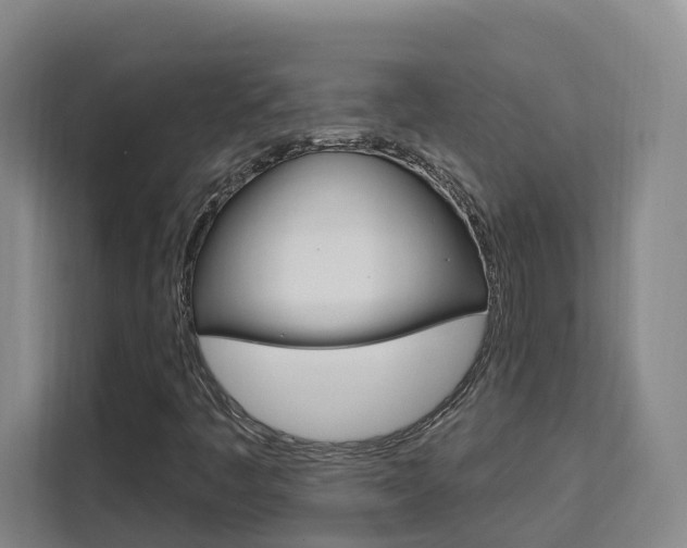 X0000111511445200907141054