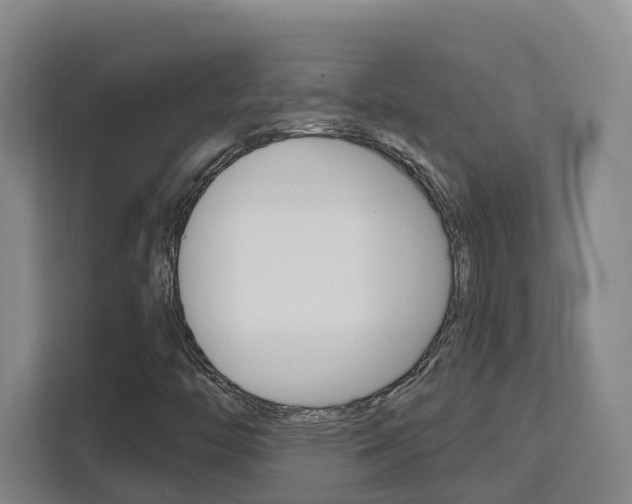 X0000111511446200907141054