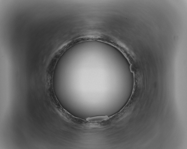X0000111511448200907141054