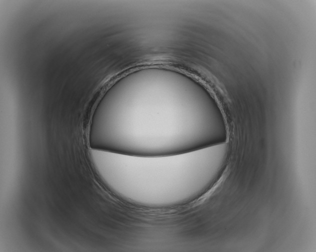 X0000111511449200907141054
