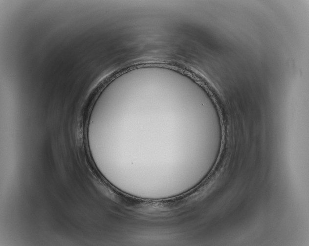 X0000111511450200907141054