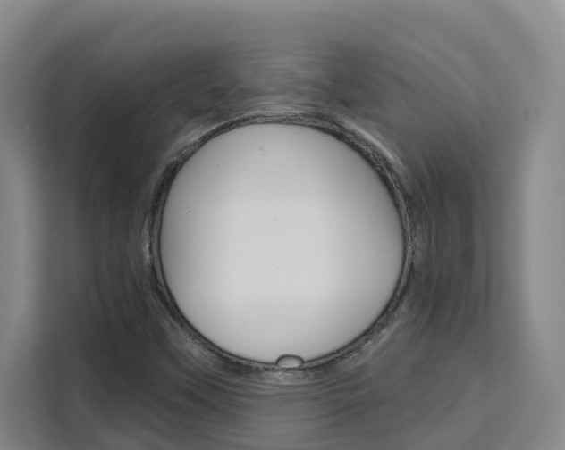 X0000111511451200907141054