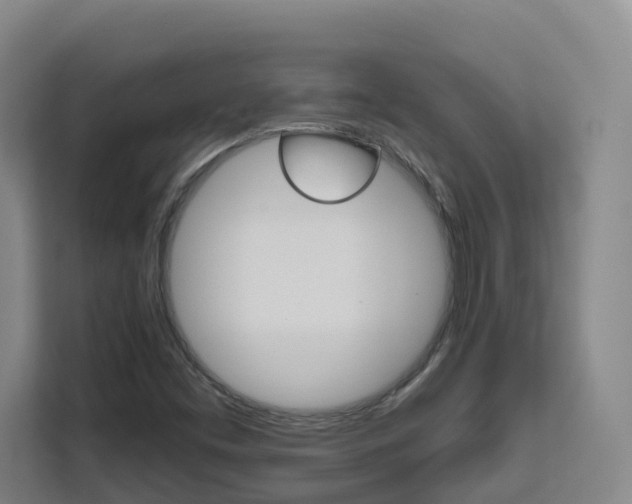 X0000111511453200907141054