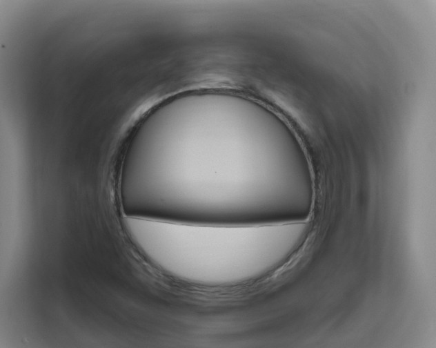 X0000111511455200907141054