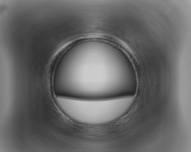 X0000111511456200907141054