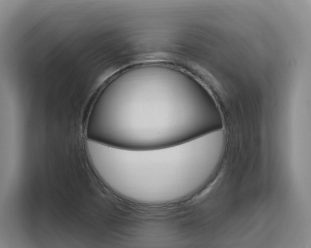 X0000111511457200907141054