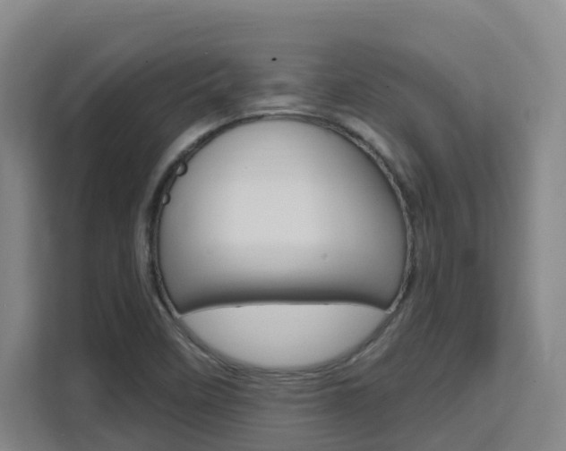 X0000111511458200907141054