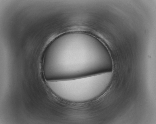 X0000111511459200907141054