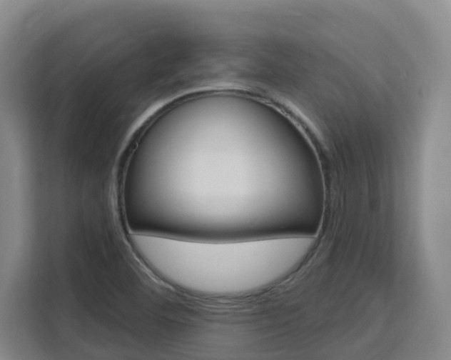 X0000111511460200907141054