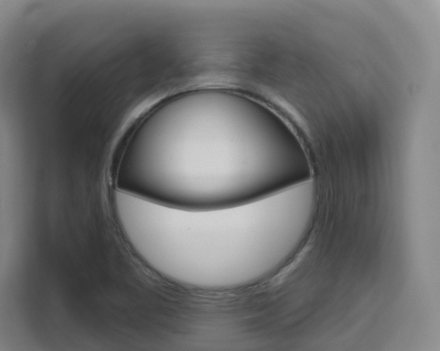 X0000111511461200907141054